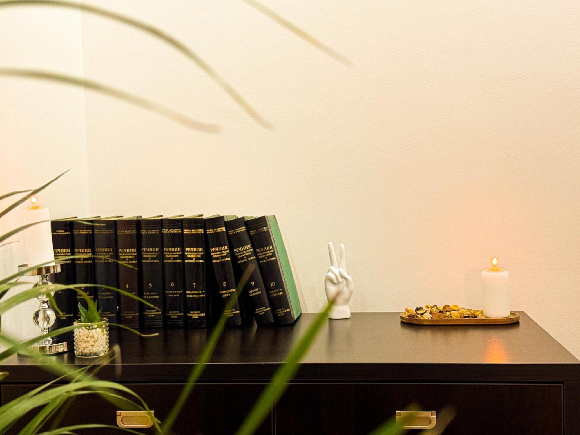 Big Company Old Town Treasure Renovated Apartment Belgrade Luaran gambar