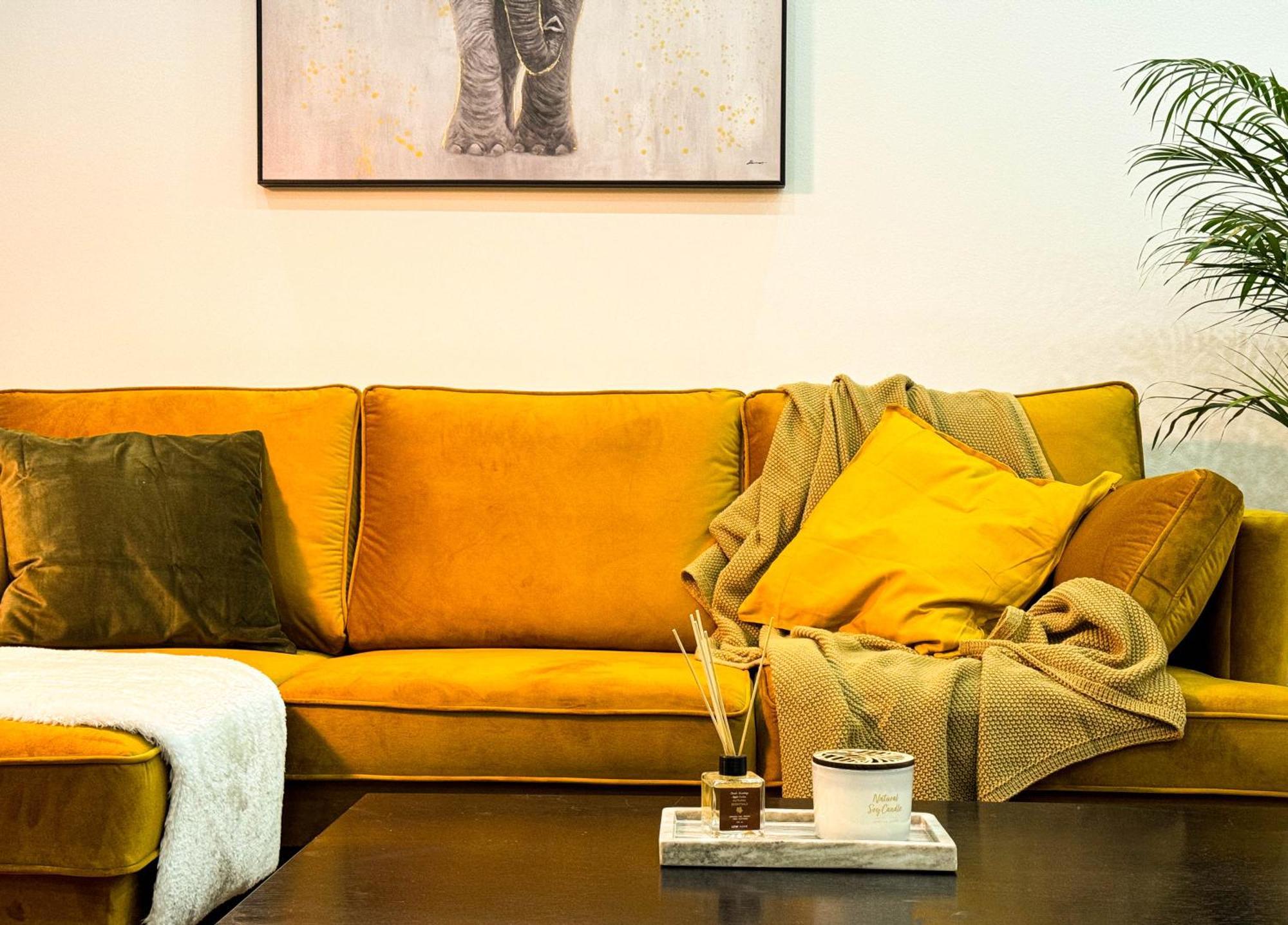 Big Company Old Town Treasure Renovated Apartment Belgrade Luaran gambar